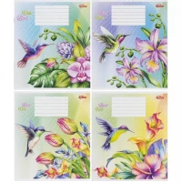 Тетрадь цветная 12 листов, линия "3042" D