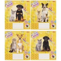 Тетрадь цветная 12 листов, линия 3361 N