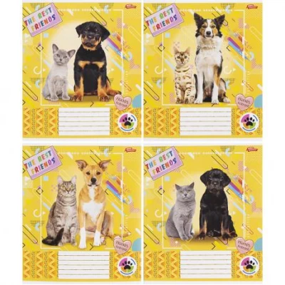 Тетрадь цветная 12 листов, линия 3361 N