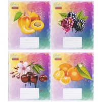 Зошит кольоровий 24 аркуша, лінія 3388D