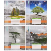 Зошит кольоровий 24 аркуші, лінія 3449N