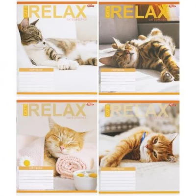 Зошит кольоровий 24 аркуші, лінія 3451N