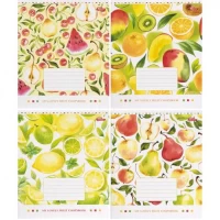 Зошит кольоровий 24 листи, клітина 3374 N