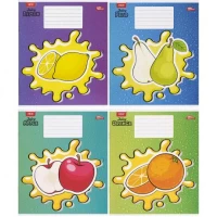 Зошит кольоровий 24 листи, клітина 3442 N