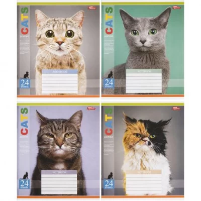 Зошит кольоровий 24 аркуші, клітинка 3443 N