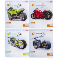 Зошит кольоровий 24 аркуші, лінія 3516 M