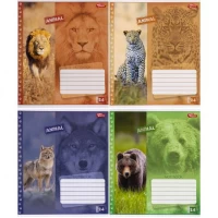 Зошит кольоровий 24 аркуші, лінія 3519 N