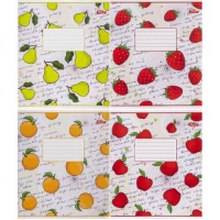 Зошит кольоровий 24 аркуші, лінія 3523 N