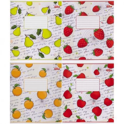 Зошит кольоровий 24 аркуші, лінія 3523 N