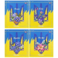 Зошит кольоровий 96 аркушів, клітинка 3580N