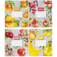 Тетрадь цветная 12 листов, линия 3370 N