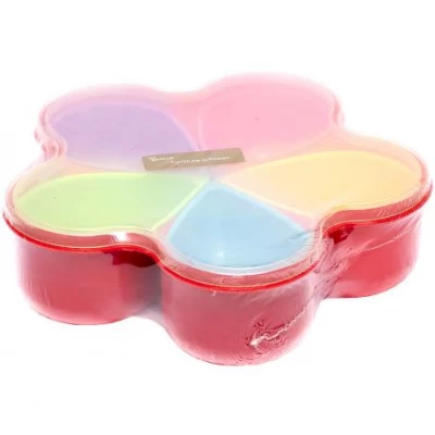 Многофункциональный контейнер на 5 секций "Цветок" GGH11 252-97