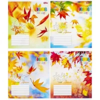 Зошит кольоровий 12 аркушів, коса лінія з додатковою лінією 3373 N Зошит кольоровий 12 аркушів, коса лінія з додатковою лінією 3373 N