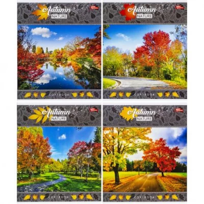 Тетрадь цветная 48 листов, линия 3474