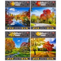 Зошит кольоровий 60 листів, клітина 3474 N