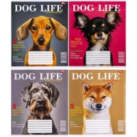 Зошит кольоровий 12 аркушів, клітинка 3546 N