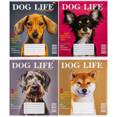 Зошит кольоровий 12 аркушів, клітинка 3546 N