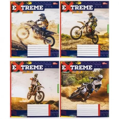 Зошит кольоровий 24 аркуша, лінія 3492