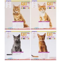 Зошит кольоровий 24 аркуші, лінія 3622N