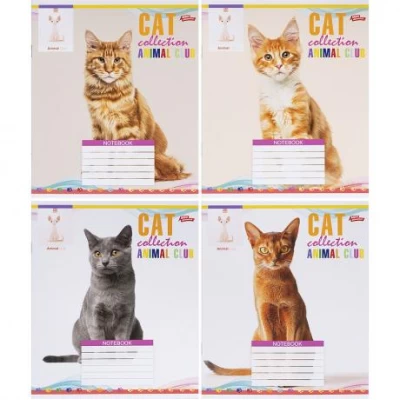 Зошит кольоровий 24 аркуші, лінія 3622N