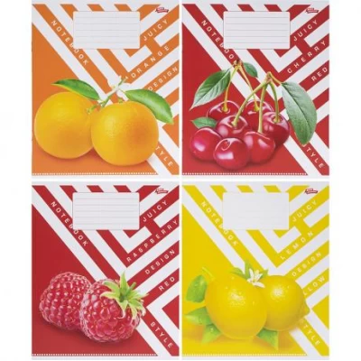 Зошит кольоровий 24 аркуші, клітинка 3616 N