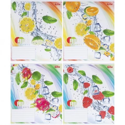 Зошит кольоровий 24 аркуші, клітинка 3617 N