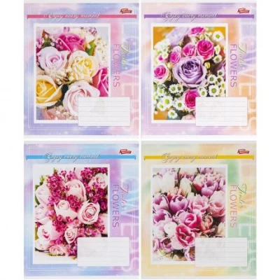 Зошит кольоровий 24 листи, клітина 3537