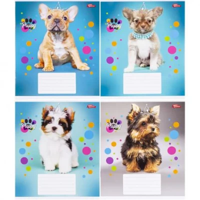 Зошит кольоровий 12 листів, клітина 3597 N