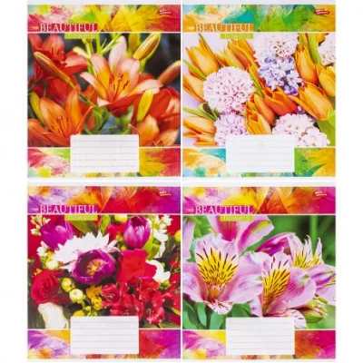 Зошит кольоровий 48 аркушів, клітинка 3641