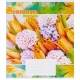 Зошит кольоровий 48 аркушів, клітинка 3641
