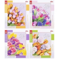 Зошит кольоровий 60 аркушів, клітинка 3581D