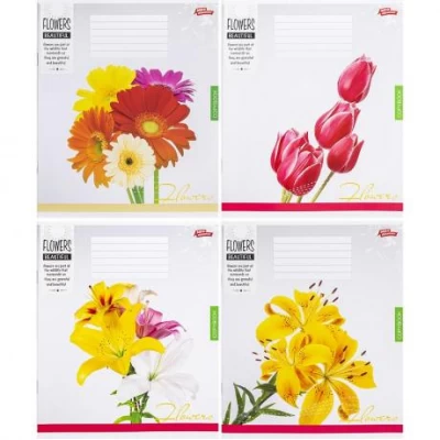 Зошит кольоровий 24 аркуша, лінія 3454 D