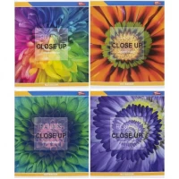 Зошит кольоровий 48 аркушів, лінія 3413