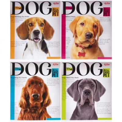 Зошит кольоровий 96 аркушів, лінія 3657