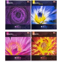 Зошит кольоровий 96 аркушів, лінія 3420