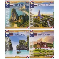 Зошит кольоровий 48 аркушів, клітинка 3661 N