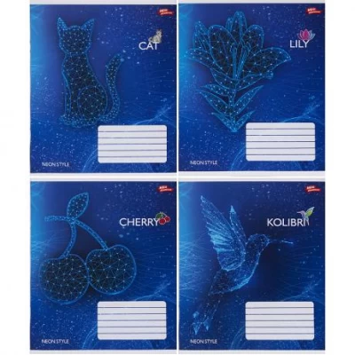 Зошит кольоровий 24 аркуші, клітинка 3672 N