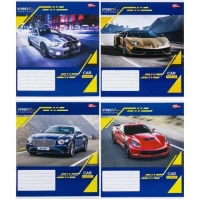 Зошит кольоровий 24 аркуші, клітинка 3476 M