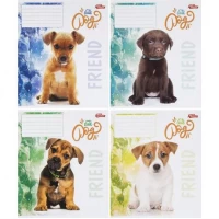 Зошит кольоровий 12 аркушів, клітинка 3543 N