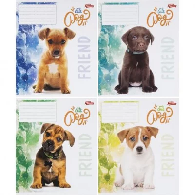 Зошит кольоровий 12 аркушів, клітинка 3543 N