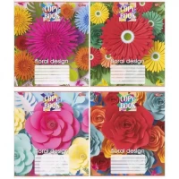 Зошит кольоровий 24 аркуша, лінія 3430