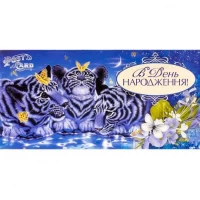 Конверт для грошей вітальний М-15-132 В День народження