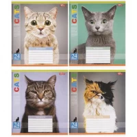 Зошит кольоровий 60 аркушів, клітинка 3443N