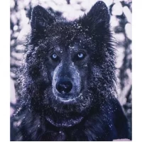 Алмазний живопис 40х50 GLE77610 у картонній коробці Алмазний живопис 40х50 GLE77610 у картонній коробці