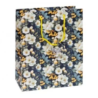 Пакет подарунковий 26х32х12 см GB-24049