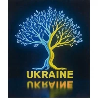 Алмазний живопис 40х50 IMAGE26 у картонній коробці