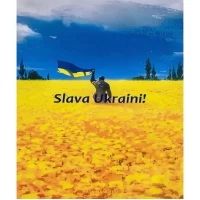 Алмазний живопис 40х50 IMAGE29  у картонній коробці