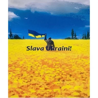 Алмазний живопис 40х50 IMAGE29  у картонній коробці