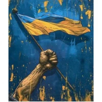 Алмазний живопис 40х50 IMAGE65 у картонній коробці