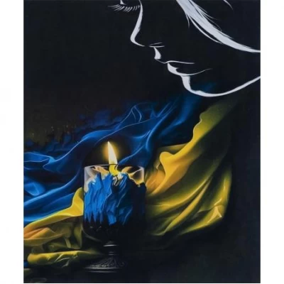 Алмазний живопис 40х50 IMAGE79 у картонній коробці